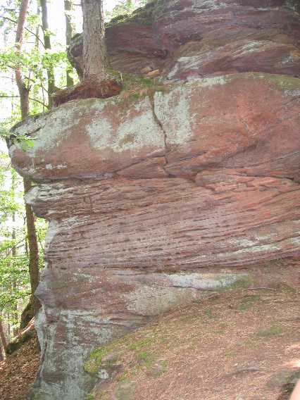 Felsenpfad Südpfalz