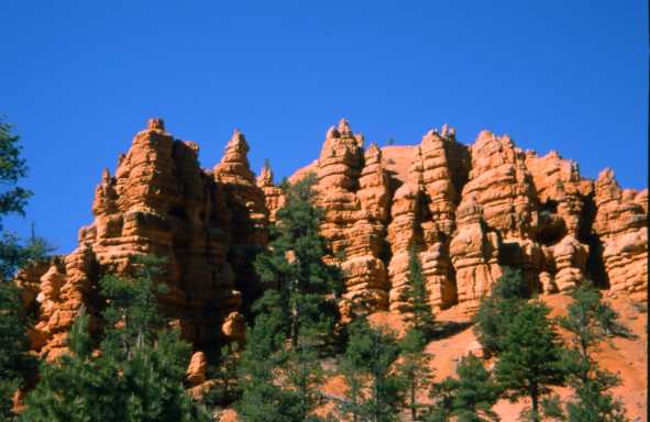 Red Canyon