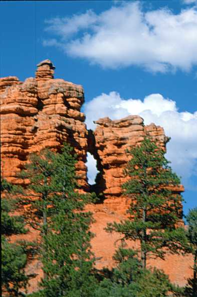 Red Canyon