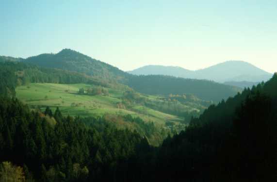 Lierbachtal